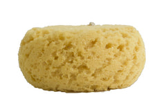 Paradiso Evriholder Sea Foam Sponge texture close-up highlighting gentle exfoliation
