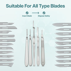 Paragon Mount Dermaplane Box compatibility with blades and handles #3 #4 #7