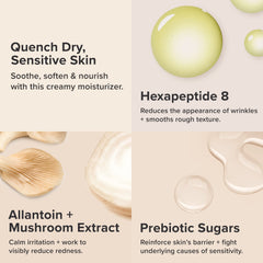 Paula's Choice CALM Intensive moisturizer texture on skin with hydrated look.