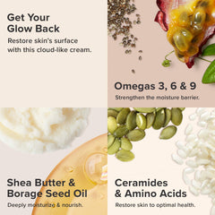 Paula's Choice fragrance-free ingredient close-up emphasizing ceramides and antioxidants