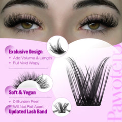 Pawotence cluster lashes easy-apply design for quick day-to-night looks.