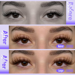 Pawotence soft-band lash clusters closeup demonstrates comfortable knot-free design for long wear