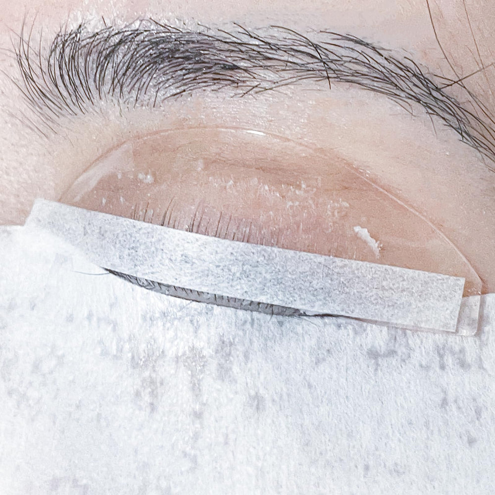 PERMANIA Lash Lift 1000P dentro de caja transparente, almacenamiento práctico.