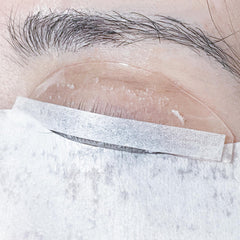 PERMANIA Lash Lift 1000P dentro de caja transparente, almacenamiento práctico.