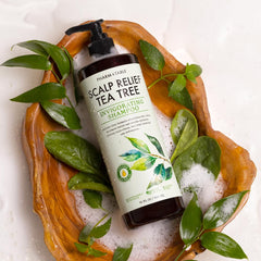 Mezcla de menta, biotina y vitamina E en PHARM TO TABLE para despertar frescura y fortaleza