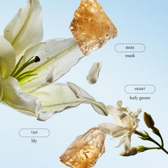 Philosophy Pure Grace Body Lotion 16oz label-closeup shows iconic fresh scent.