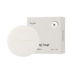 Piccasso Brush Cleaner Solid Cleanser packaging shown for travel-friendly use