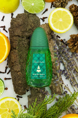 Pino Silvestre Original base notes cedarwood sandalwood provide lasting warmth.