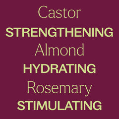 Plant Therapy Rosemary & Castor Oil: cuidado del cuero cabelludo para mayor salud.