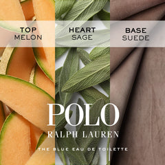 Polo Blue packaging and deodorant stick design highlighting an alcohol-free formula.