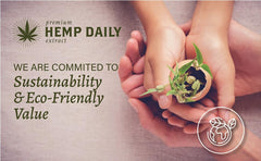 Crema para espalda de Premium Hemp Extract Daily, alivio suave y nutrición.