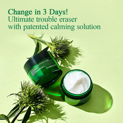 Aplicación suave de Pyunkang Yul PKY Ultimate Calming Cream para calmar irritaciones.