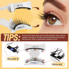 QUEWEL compact lash box with mirror for on-the-go touch-ups