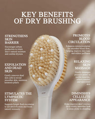 Rafow cerdas jabalí naturales para exfoliación efectiva de la piel.