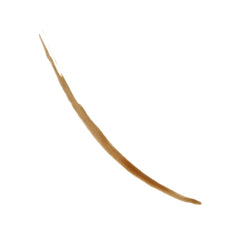 REVLON ColorStay Ceja Tinta, aplicador de punta para trazos precisos.