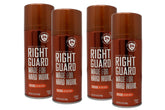 Right Guard Original deodorant spray bottle ready for all-day protection.