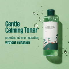 round-lab pine calmin cica toner etiqueta frontal, aspecto claro
