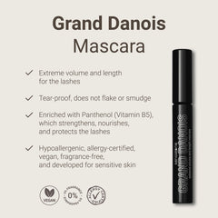 Sandstone Scandinavia Mascara: resistente al sudor para días activos.