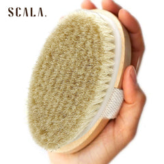 SCALA empaque de madera elegante, ideal como regalo de bienestar.