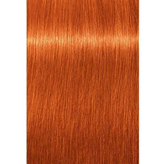 Schwarzkopf Igora Royal permanent 8-77 color application for vibrant copper blonde