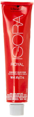 Schwarzkopf Igora Royal mixing bowl and brush for smooth color application