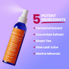 SeoulCeuticals Esencia Aloe Orgánico Toner para hidratación suave.