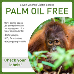 Close-up of Seven Minerals Castile Soap ingredients showing organic carrier oils and no palm oil.