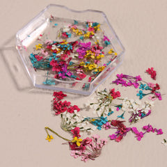 Silpecwee natural dried flowers offering variety for nail art and crafts