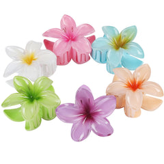 Sisiaipu clips flor seis colores, añade tono diferente a cada peinado.