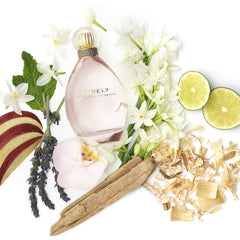 SJP Sweet packaging box highlights premium gift-ready presentation