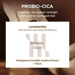 Textura agua-essence de SKIN1004 Probio-Cica Toner para sensación de frescura