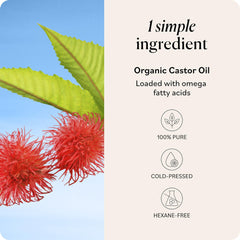 Sky Organics Aceite de ricino, aplicación en pelo, cabello más suave.