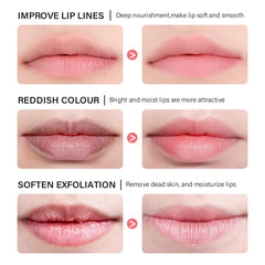 Sokgo Aplicación suave del bálsamo labial nocturno arándano para labios saludables
