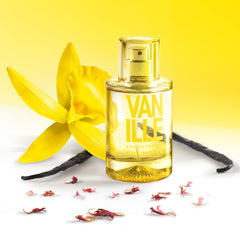Solinotes Vanilla bottle hints tonka bean for warm depth.