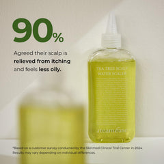 Steambase Tea Tree Scalp Treatment closeup of tea tree leaves emphasizes natural cleansing ingredients.