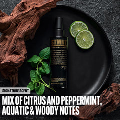 STMNT Definición Spray acabado semi-mate ideal para volumen moderado