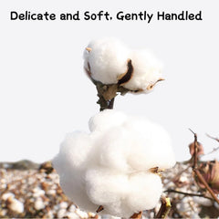 SUIZWMOU biodegradable paper sticks and natural cotton for skin-friendly feel.