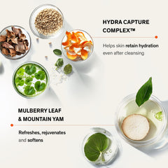 Sulwhasoo Gentle Cleansing Foam: foco en poros para una limpieza profunda.