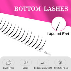 TDANCE bottom lash strips shown for easy removal in salon workflows.