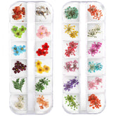 Teenitor flores secas para uñas con 24 colores, ideales para decoraciones detalladas