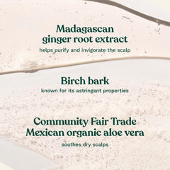 The Body Shop Ginger Scalp Care Shampoo, contiene jengibre y corteza de abedul para cuidado natural.