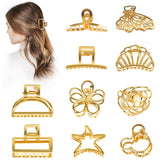 Tisenla gold hair clips set with ten styles for versatile styling and secure hold.