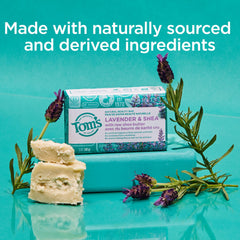 Tom's of Maine Lavender fragrance bar close-up highlighting calming aroma