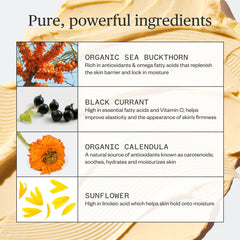 Ursa Major Golden Hour ingredient visual shows sea buckthorn and calendula antioxidant care.
