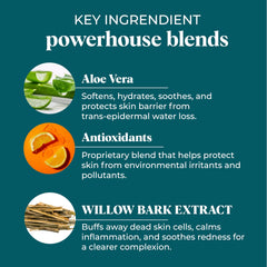 VI DERM Aloe vera and green tea illustration highlighting antioxidant support.