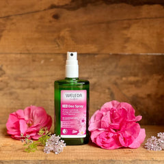 Aceites esenciales de rosa y ylang-ylang en Weleda Wild Rose.