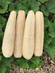 YEMTAL esponja de lufa natural para exfoliar el cuerpo