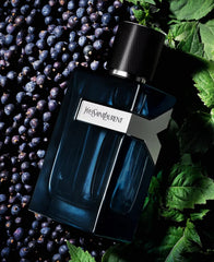YSL Y Intense wood note closeup, warmth of patchouli and refined depth.