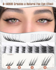 Zegaine fox eye clusters 10mm for brighter daytime look.