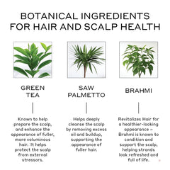 Zenagen Revolve foamy lather demonstrates gentle cleansing for fine, thinning hair